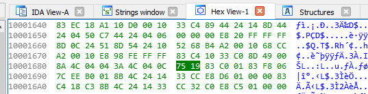 Hex view of the instructions